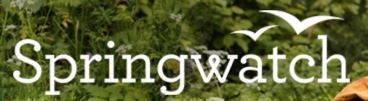 Springwatch logo